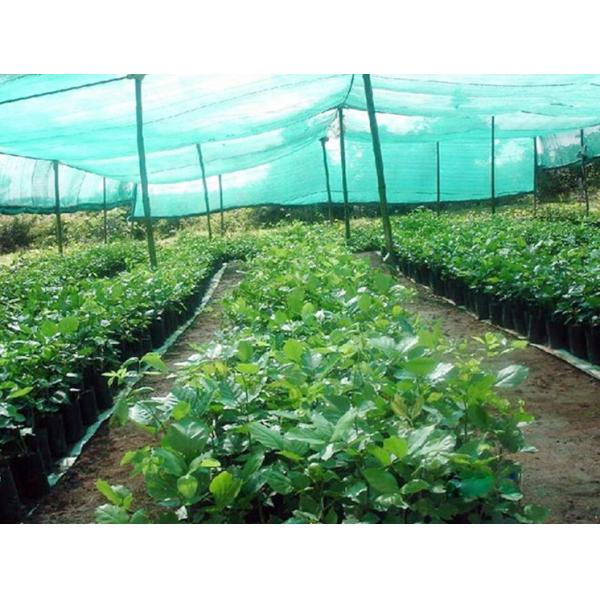 Double Needle Shade Sun Shade Net Machine DRCA Type HDPE Virgin Material Sunshine Green Shading Net Making Machine