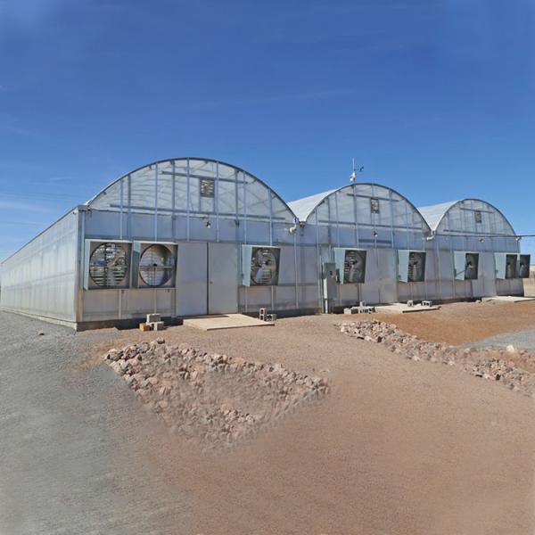 Large Polycarbonate Film Greenhouse / Multi Span Greenhouse Multi Functional