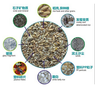 Easy Using Rice Color Sorting Machine Intelligent Image Processing Algorithm