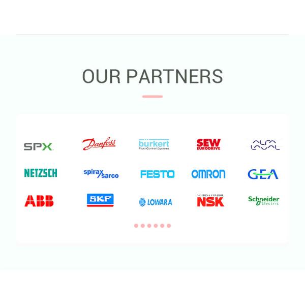 Food Garlic Processing Line Automatic Garlic Peeling Machine