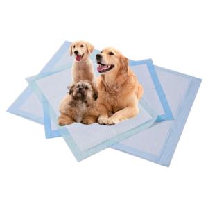 Best Eco Friendly Pet Training Pads High Absorbency Extra Large Absorbent Pads For Dogs wholesale