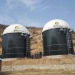 Anaerobic Digester Tank Price Anaerobic Digester For Sale