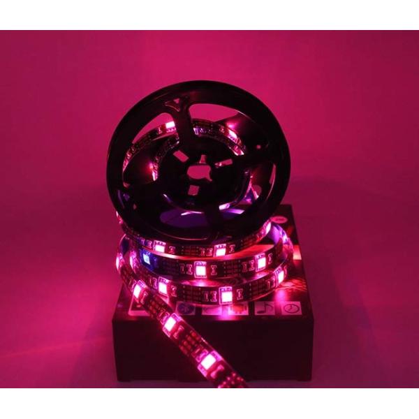 10mm Flex Led Strip Light