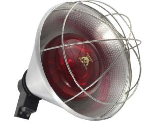 Best Clear Bulb Animal Infrared Heating Lamp Explosion Proof Heavy Glasses wholesale