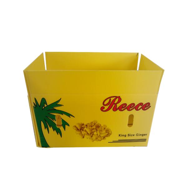 Corrugated Plastic Storage Box OEM / ODM Accepted