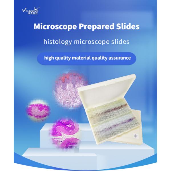 Commercial Histology Lab Slides Human Histology Prepared Microscope Slides 100 Piece