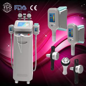China 5 handles cryolipolysis fat reducing machine different types for your choice on sale