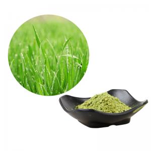 Best Organic Barley Grass Powder For Healthy Food Beverage wholesale