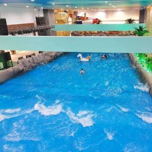 Colourful Water Park Swim Wave Pool Machine Indoor Wave Pool Customized