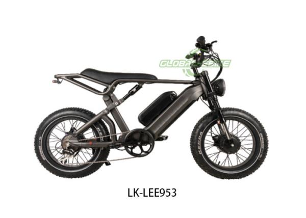 Cheap Electric Fat Tire Bike Powerful 52V 1000W Motor Advanced Suspension Fork Tires For Thrill-Seekers for sale