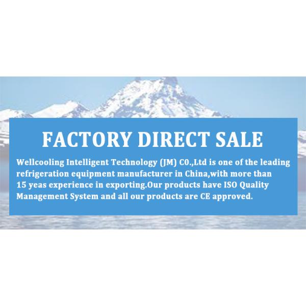 Pasterization Ice Cream Sorbet Making Batch Freezer Hard Ice Cream Machine Brazilian Acai Freezer