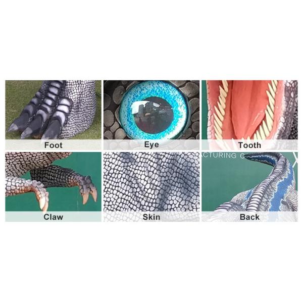 Handmade Life Size Realistic Dinosaur Costume With Water Repellent Skin