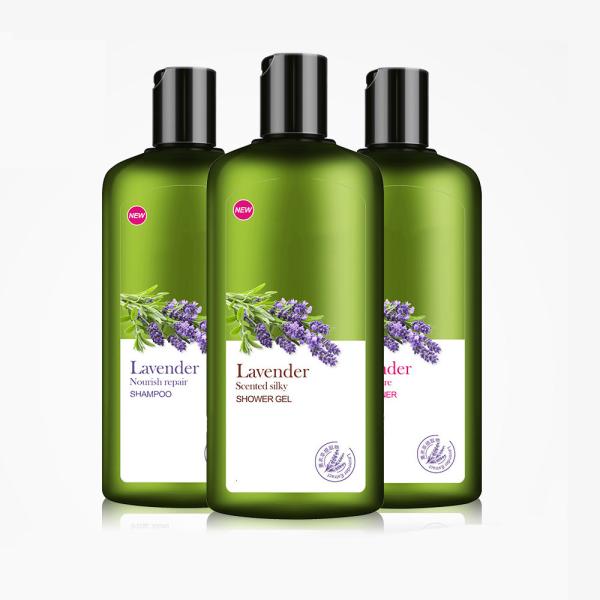 Cheap Balance Greasy Lavender Essential Oil Shampoo In - Depth Moisturizing Hair for sale