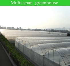 Namibia Africa Gutter Connected Greenhouse with Optimal Ventilation and Single Layer