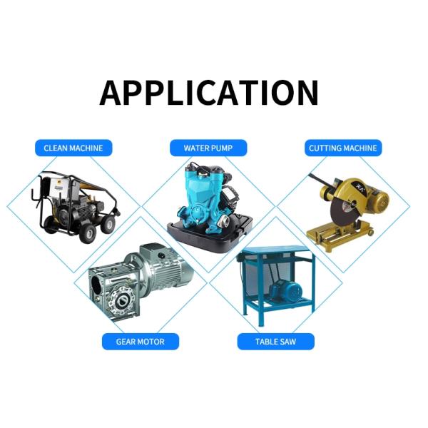2 Poles IP54 2800rpm AC Asynchronous Motor For Water Pump