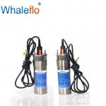 Whaleflo 24V dc solar water pump dc solar submersible pump with lift rate 100m