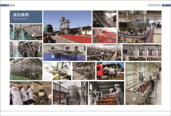 Cheap SS304 Complete Tomato Processing Line 1500T/D Easy Operation for sale