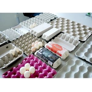 Pulping Machine for Waste Paper, Cardbaord, Carton Box, etc. Paper Egg Tray