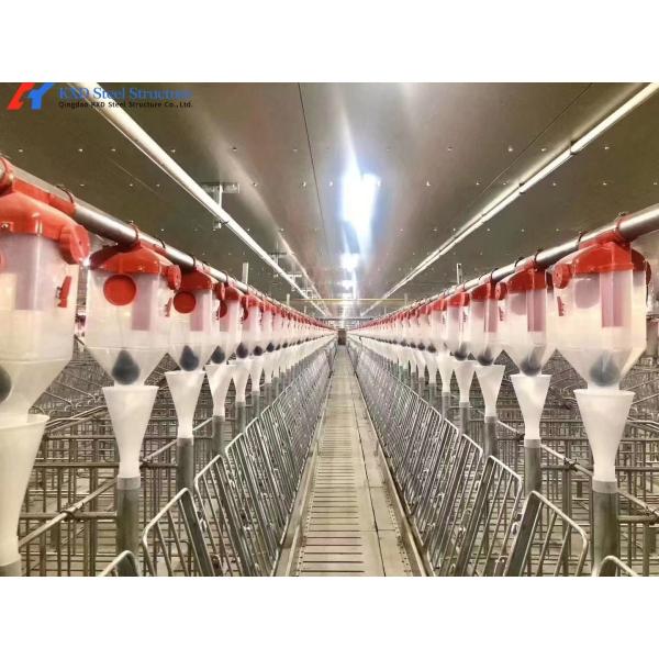 Customized Piggery Farm Equipment Fully Automatic Pig Wet Dry Feeder