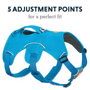 China Multi - Use Dog Harness Leash Hiking Trail Running Eco Friendly With Light Loop on sale