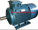 Gear Reduce Motor with CE Single Phase Electric Motor, AC Electric Motor