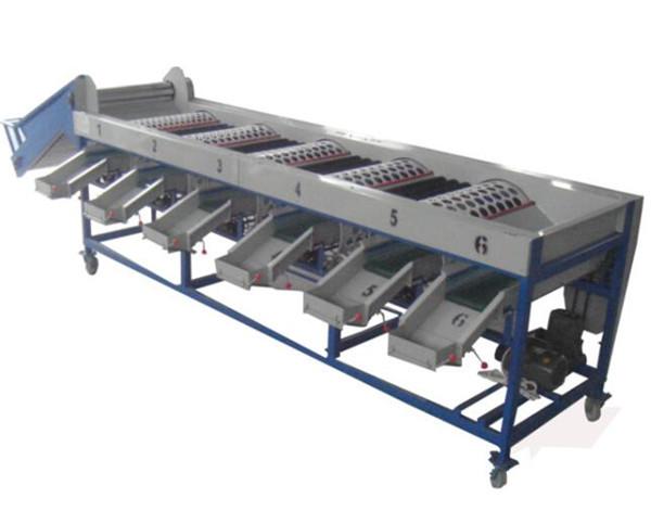Cheap onion sorting machine, onion grading machine, onion sorter, onion grader for sale