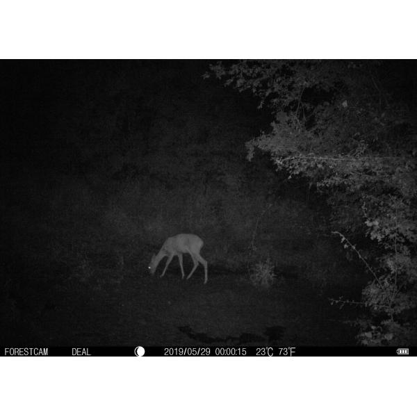 4G 16MP Wireless Hunting Trail Cameras LTE Bluetooth App Remote Control