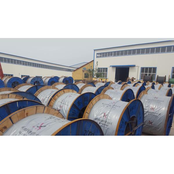 Steel Tape Armoured STA Low Voltage Cable Two Core XLPE Insulated CU AL Conductor