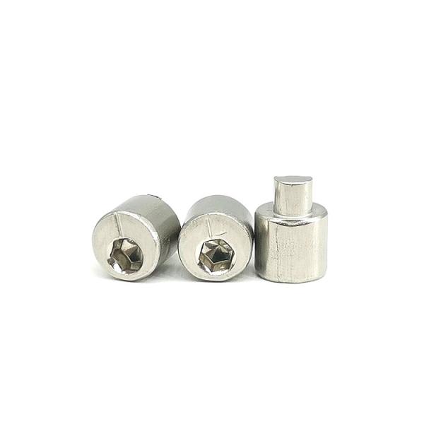 Stainless Steel Eccentric Adjustment Screw