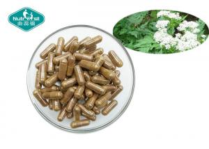 Best Dong Quai Angelica Sinensis Capsules for Female Support wholesale