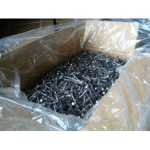 Best High Quality Common Round Nail wholesale