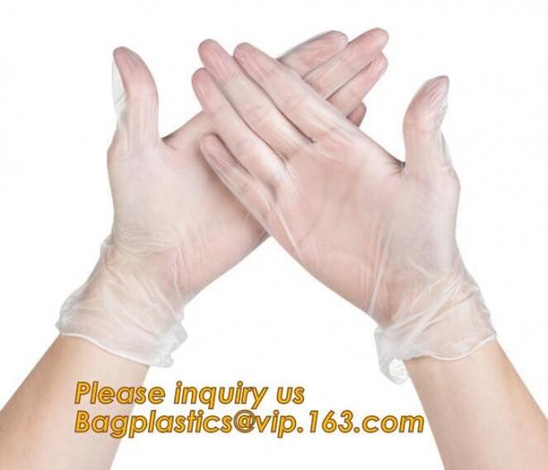 Cheap Medical Exam Use Disposable Powder Free Vinyl Gloves/Non Latex Vinyl Gloves/PVC Gloves,Disposable PVC Gloves Powder Free for sale