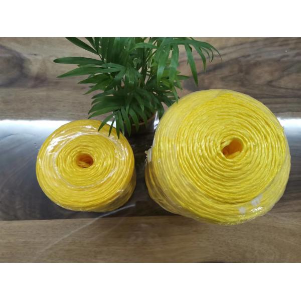 Tanzania Hotsale 2mm Pp Baler Twine 250g 500g 1000g 2000g Yellow Color