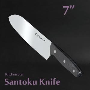 Best Wear Resistance Santoku Knife Kitchen / Cerasteel Chef Utility Knife wholesale