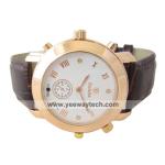 Sport Watch Digital Video Recorder with Digital Voice Recorder, 4G Memory/Hidden