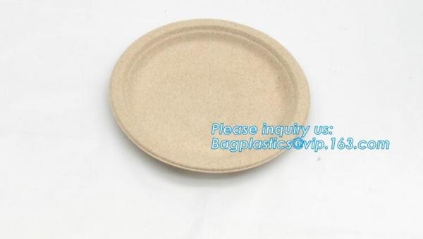 Compostable Rigid cup,PLA Biodegradable,PLA eco-friendly biodegradable plastic cups,PLA 16oz 500ml,cups Coffee To Go Mu