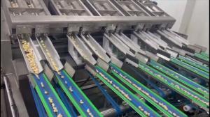 Best Automatic Cashew Color Sorter with Chain Conveyor, 360-Degree Nut Rotation, and Computer-Controlled Defect Detection wholesale