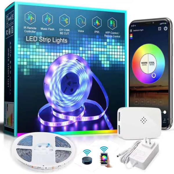 DC12V work with Alexa google assistance App and remote rgb rgbic addressable waterproof programmable wifi smart led light strip