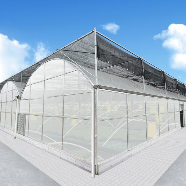 Commercial Polycarbonate Sheet Greenhouse / PC Sheet Greenhouse Customized Material