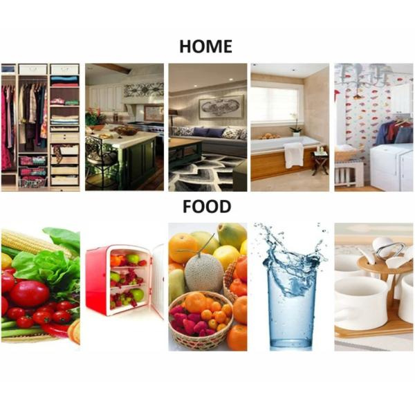 Ozone Generator for Cleaning Vegetables and Aquatic Animals AC220V/AC110V/AC24V/DC12V