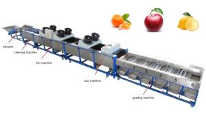 apple cleaning drying grading machine, apple sorting machine, lemon grading machine