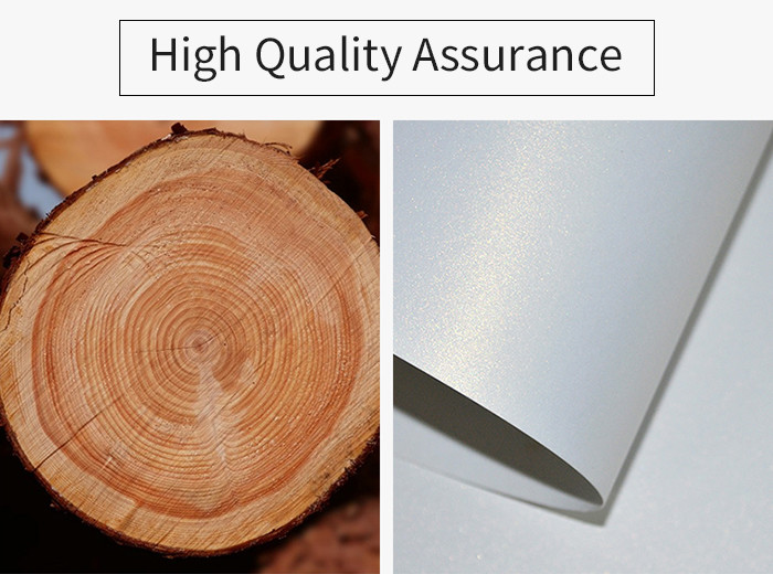 A3 29.7*42cm Glossy Photo Sticker Paper PET Pearly Surface High Definition