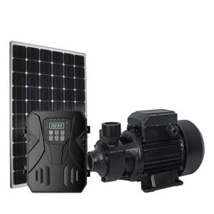 Deep Well Stainless Steel Solar Surface Water Pump For Water Removal Lawn Garden