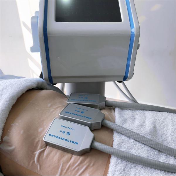 EMS frequency 30HZ Cryolipolysis Fat Freezing Machine