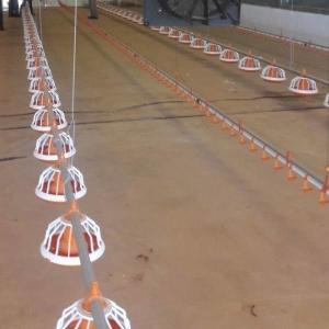China 1g-99g Poultry Feeding Equipment Automatic Poultry Feeder System on sale