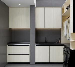 Best Elegant And Efficient Space Utilization Laundry Room Cupboards Stainless Steel wholesale