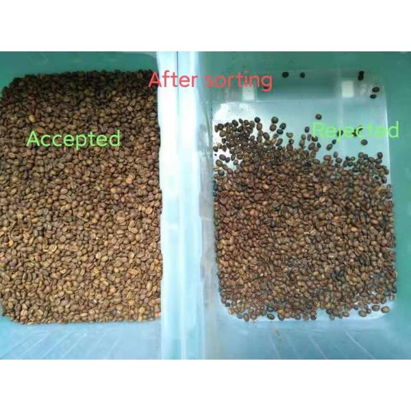 Wenyao 10 Chutes Soya Beans Sorting Machine With High Throughput