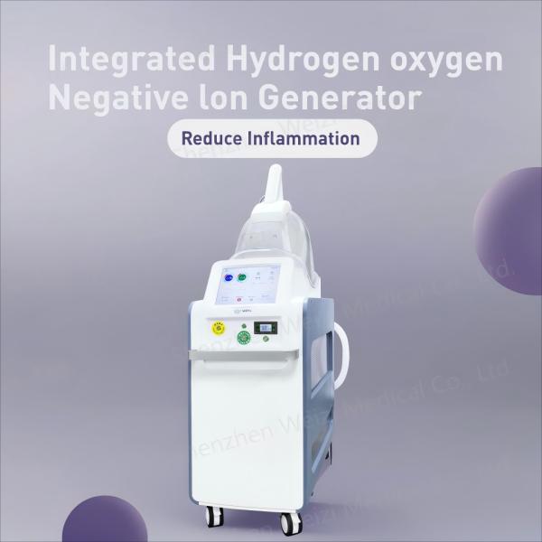 Cheap 220V Hydrogen Oxygen Negative Ion Generator Reduce Fatigue WEIZI for sale