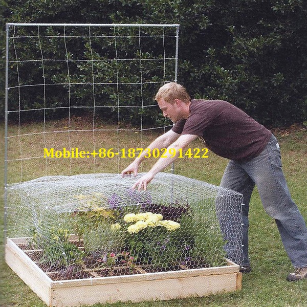 Corrosion and oxidation resisting wire netting chicken mesh