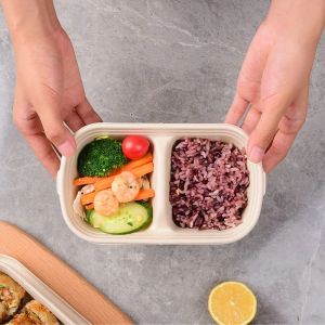Take Away Compostable Sugarcane Container Lunch 2 Compartment Food Containers
